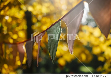 Autumn Celebration Flags on a Sunny October Day 133844272