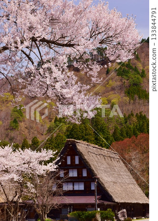 World Heritage Shirakawago Goseisaku Village 133844791