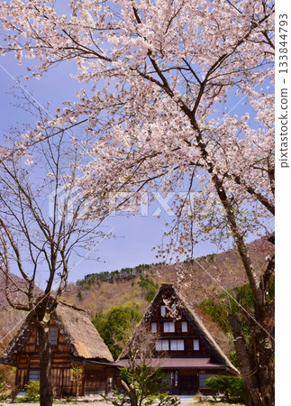 世界遺產白川鄉Goseisaku村 133844793