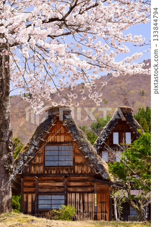 世界遺產白川鄉Goseisaku村 133844794