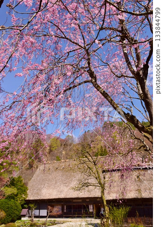 World Heritage Shirakawago Goseisaku Village World Heritage Shirakawago Goseisaku Village 133844799