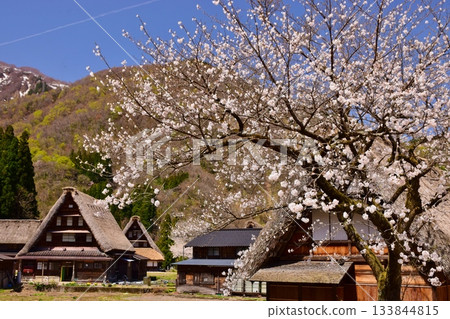 世界遺產五箇山合掌造村 世界遺產五箇山合掌造村 133844815