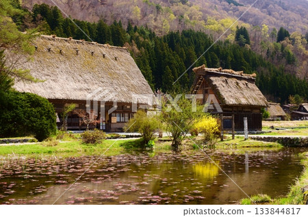 World Heritage Shirakawago Goseisaku Village World Heritage Shirakawago Goseisaku Village 133844817