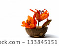 Vivid Orange Lilies on White Background for Stunning Visual Impact 133845151