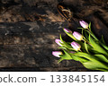 Delicate Tulips in Pink Hues on Rustic Wooden Background 133845154