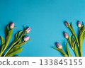 Charming Pink Tulips Symmetrically Arranged on Bold Blue Background 133845155