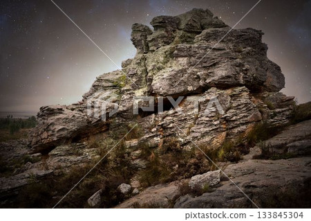 Flat design layered rock formation is rising on hillside under starry sky with shrubs and lichens 133845304