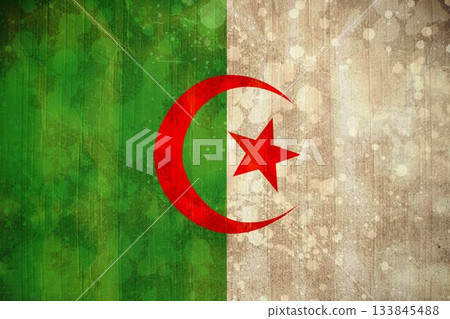 Algeria flag in grunge effect Algeria flag in grunge effect 133845488