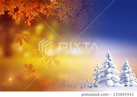 Autumn changing to winter 133845541