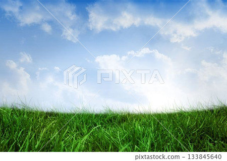 Field of grass under blue sky 133845640