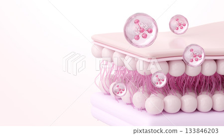 CG可增加膠原蛋白和彈性蛋白纖維的密度,並恢復皮膚彈性。 CG可增加膠原蛋白和彈性蛋白纖維的密度,並恢復皮膚彈性。 133846203