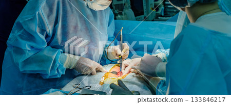 A surgeon's hands, wearing sterile gloves, are holding an electrocautery device A surgeon's hands, wearing sterile gloves, are holding an electrocautery device 133846217