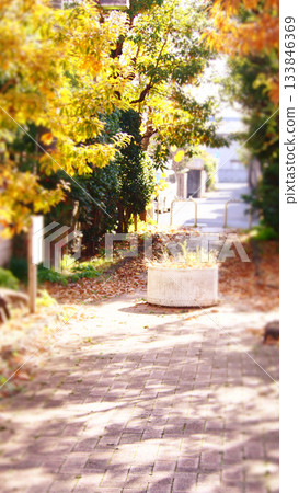 秋天加深的公園風景 133846369