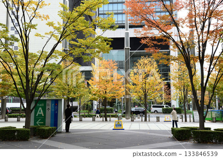 城市建築間山谷中的秋葉 133846539