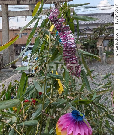 Star Festival  133846557