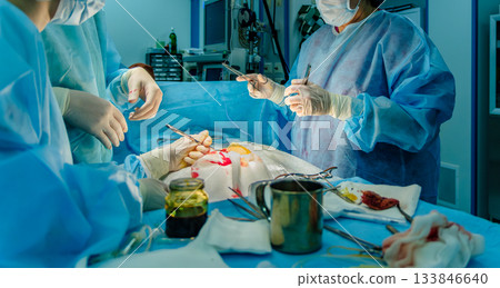 The surgeon sutures a patient's skin during surgery. The surgeon sutures a patient's skin during surgery. 133846640