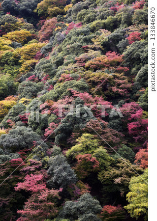 Scenery of Minoh Falls 133846670