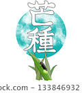 二十四節氣_芒果種子_夏季 二十四節氣_芒果種子_夏季 133846932
