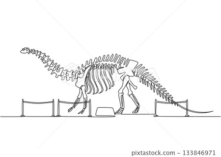 Continuous one line drawing brontosaurus dinosaur skeleton in museum room. Getting to know anatomy of predatory animal in the past International Museum Day. Single line draw design vector illustration Continuous one line drawing brontosaurus dinosaur skeleton in museum room. Getting to know anatomy of predatory animal in the past International Museum Day. Single line draw design vector illustration 133846971