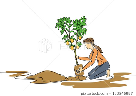 Single continuous line drawing woman inserts a lemon tree bearing fruit into a hole in the ground. Instead of buying, it is better to plant. Plant a Lemon Tree Day. One line design vector illustration Single continuous line drawing woman inserts a lemon tree bearing fruit into a hole in the ground. Instead of buying, it is better to plant. Plant a Lemon Tree Day. One line design vector illustration 133846997
