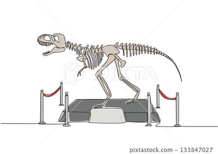 Single continuous line drawing T Rex dinosaur skeleton in museum room. Museum for learning. Get to know ancient animals. Dangerous animal. International Museum Day. One line design vector illustration 133847027