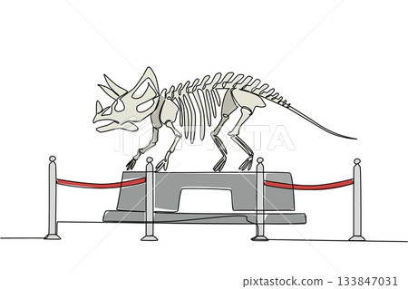 Single continuous line drawing triceratops dinosaur skeleton in museum room. Museum for learning. Studying the anatomy of bones. Extinct. International Museum Day. One line design vector illustration Single continuous line drawing triceratops dinosaur skeleton in museum room. Museum for learning. Studying the anatomy of bones. Extinct. International Museum Day. One line design vector illustration 133847031