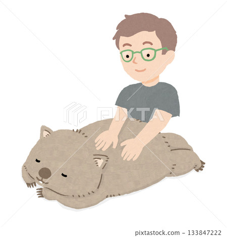 Wombat receiving a massage from a male masseuse Wombat receiving a massage from a male masseuse 133847222