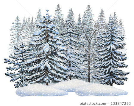 A hand drawn scene of a snowy forest with snow covered fir trees. Watercolor illustration. 133847253