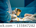 The surgeon washes the surgical field with a stainless steel mug. 133847282