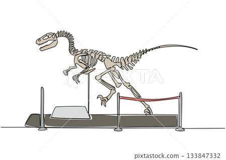 Single one line drawing velociraptor dinosaur skeleton in museum room. Telling about wild animals in the past. Learning tools. International Museum Day. Continuous line design graphic illustration Single one line drawing velociraptor dinosaur skeleton in museum room. Telling about wild animals in the past. Learning tools. International Museum Day. Continuous line design graphic illustration 133847332
