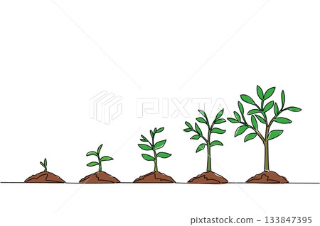 Continuous one line drawing 5 phases of tree growth with soil mounds. Symbolism of new and renewable energy. Protect the environment. World Plant Power Day. Single line draw design vector illustration Continuous one line drawing 5 phases of tree growth with soil mounds. Symbolism of new and renewable energy. Protect the environment. World Plant Power Day. Single line draw design vector illustration 133847395