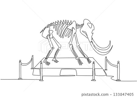 Single one line drawing mammoth bird dinosaur skeleton in museum room. Museum for learning. The origin of extinction. Dangerous. International Museum Day. Continuous line design graphic illustration Single one line drawing mammoth bird dinosaur skeleton in museum room. Museum for learning. The origin of extinction. Dangerous. International Museum Day. Continuous line design graphic illustration 133847405