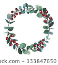 Hand drawn Christmas wreath with red berries, eucalyptus. Watercolor illustration. 133847650