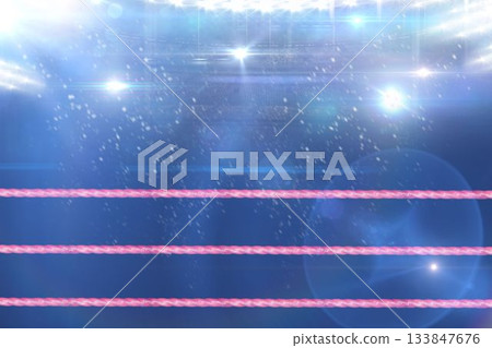 Composite image of boxing ring 133847676