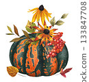 Hand drawn composition featuring harvest, pumpkin, rowan berries, flowers, autumn leaves. Watercolor illustration. 133847708