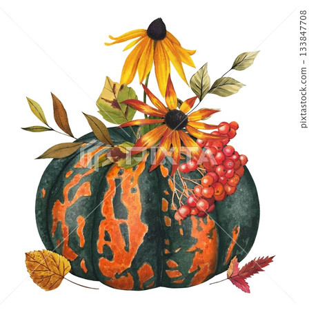 Hand drawn composition featuring harvest, pumpkin, rowan berries, flowers, autumn leaves. Watercolor illustration. Hand drawn composition featuring harvest, pumpkin, rowan berries, flowers, autumn leaves. Watercolor illustration. 133847708