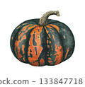 Hand drawn pumpkin in orange and dark green tones. Autumn decor. Watercolor botanical illustration. 133847718