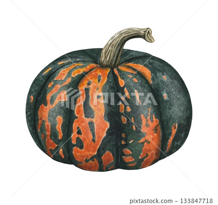 Hand drawn pumpkin in orange and dark green tones. Autumn decor. Watercolor botanical illustration. Hand drawn pumpkin in orange and dark green tones. Autumn decor. Watercolor botanical illustration. 133847718
