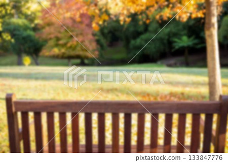 Empty bench against trees 133847776