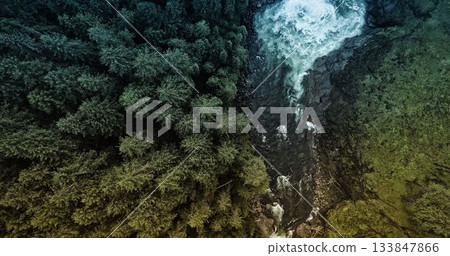 Aerial view showing conifer forest left rocky stream forming waterfall mossy slope right flat style Aerial view showing conifer forest left rocky stream forming waterfall mossy slope right flat style 133847866