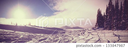 Flat design is showing panoramic winter mountain slope with ski tracks and conifer forest Flat design is showing panoramic winter mountain slope with ski tracks and conifer forest 133847987