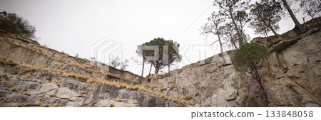 Vector illustration is showing steep limestone cliff with dry grass and pine trees under cloudy sky Vector illustration is showing steep limestone cliff with dry grass and pine trees under cloudy sky 133848058
