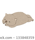 A wombat lying face down 133848359
