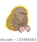 A well-behaved echidna sitting 133848363