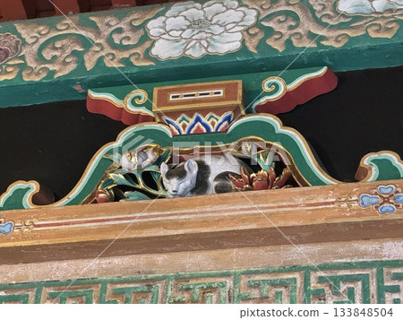 Nikko Toshogu sleeping cat 133848504