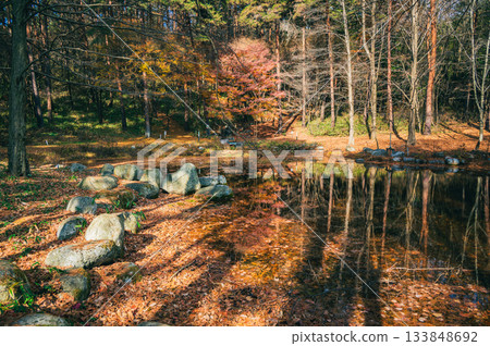 長野縣的秋色 長野縣的秋色 133848692