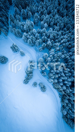 Aerial view of a snow-covered forest in winter mountains 133848712