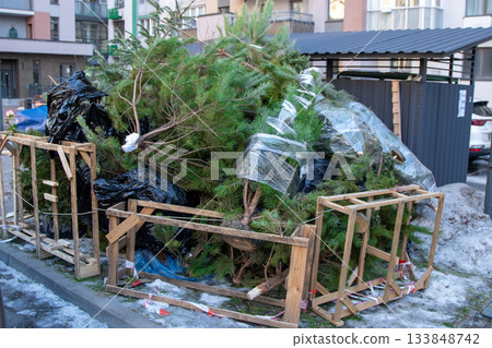 Recycling Christmas trees after Christmas. Dumping trees near trash cans on the street. Recycling Christmas trees after Christmas. Dumping trees near trash cans on the street. 133848742