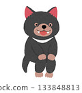 A smiling Tasmanian devil sitting well 133848813