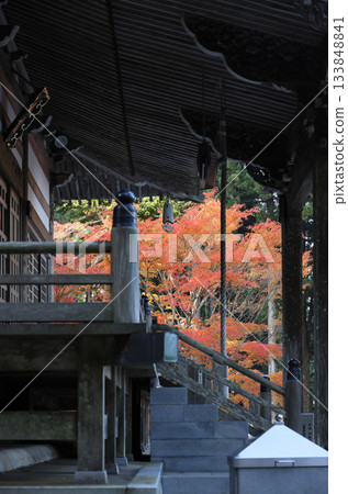 Autumn leaves at Daishido Hall of Unpenji Temple, the 66th temple of the Shikoku Pilgrimage 133848841